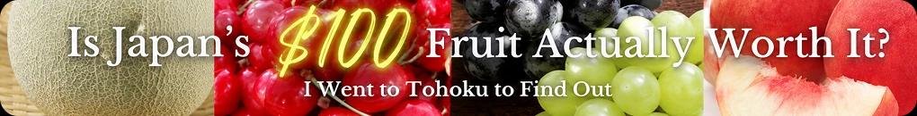 Japan's 100 Dollar Fruits