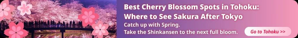 Cherry Blossom Season